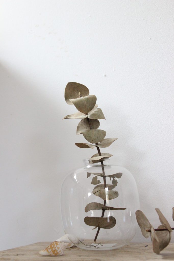 Makom Studio - ואזה בינונית