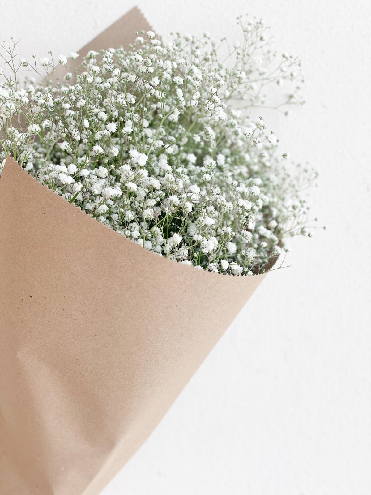 WhatsApp Image 2022-09-12 at 17.32.33 זר גיבסנית L – תמונה 1